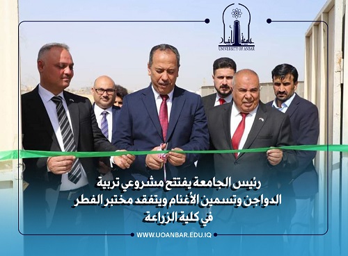 The President of University Inaugurates the Two Projects of Poultry Breeding and Sheep Fattening and Inspects the Mushroom Laboratory at the College of Agriculture